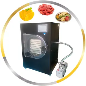 2024 termostática secagem equipamento laboratório liofilizador vácuo congelar secador preço congelar secador máquina
