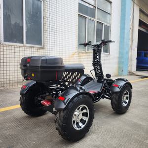 Quad électrique RY-S4 60V 10000W, capacité de charge de 300 kg, frein à disque hydraulique, véhicule tout-terrain - Product Image 4