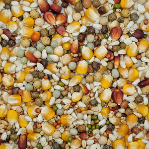 Mélange Alimentaire <span class=keywords><strong>de</strong></span> Gros Équilibre Sportif pour Jeunes Pigeons : Pois, Millet, <span class=keywords><strong>Graines</strong></span> <span class=keywords><strong>de</strong></span> Tournesol, <span class=keywords><strong>Graines</strong></span> d'Alpiste et Sorgho Séchés - Product Image 2