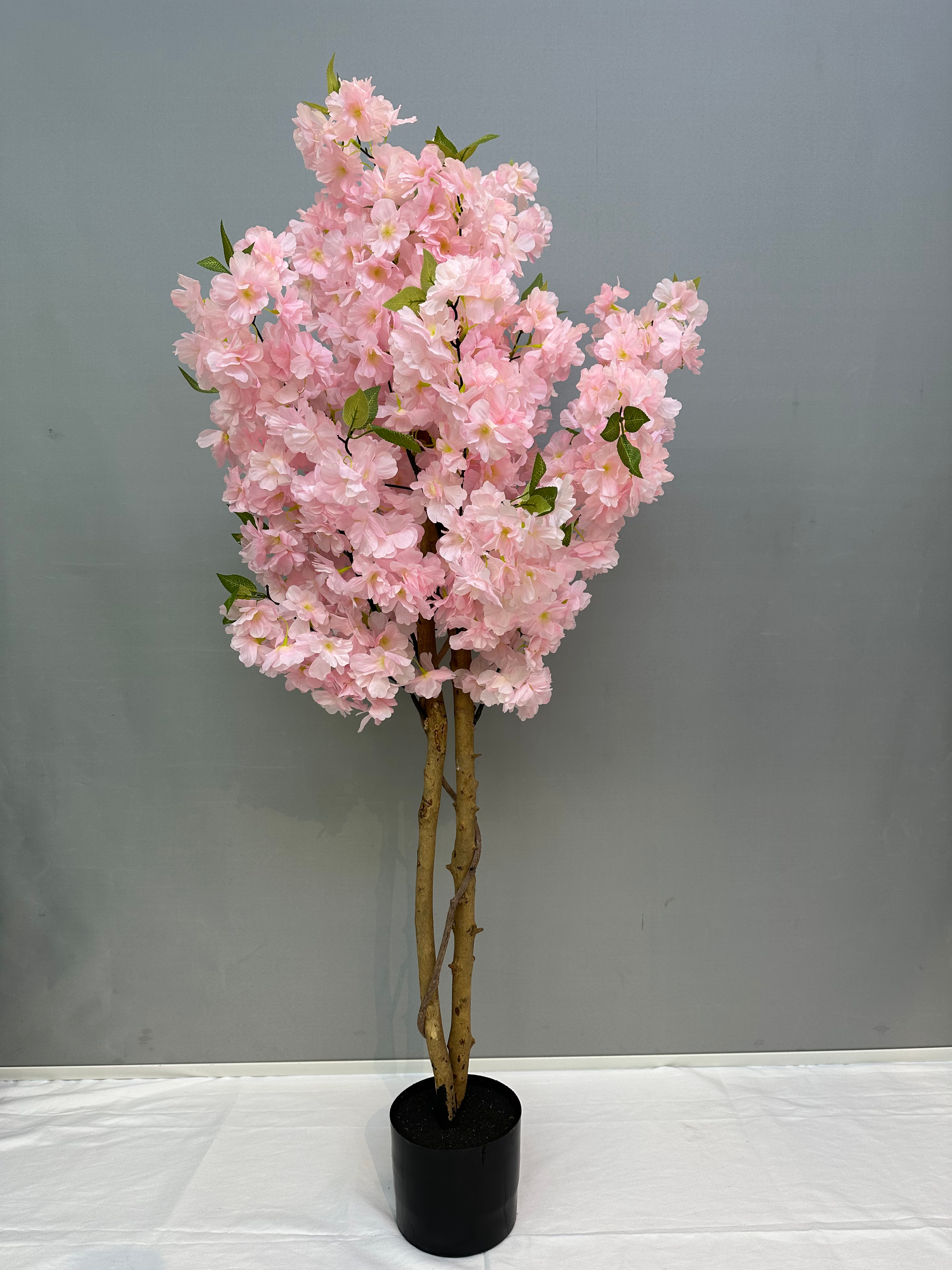 120cm