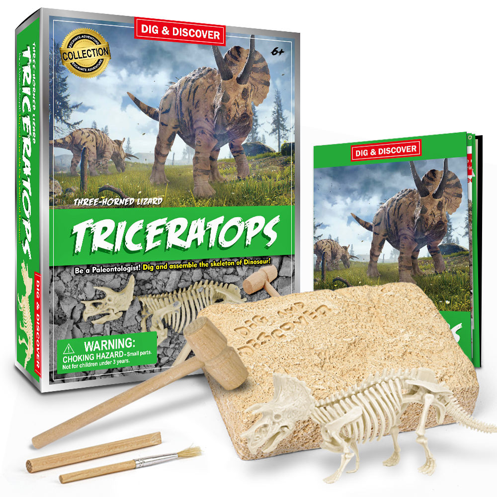 Triceratops Dig Kits