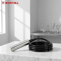 Weistoll 304 Edelstahl Wassertank-Füllstandsensor Automatischer Regler Anzeigepanel IP68-Schutz 0,15% Genauigkeit