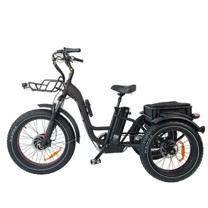 QUEENE/New 24 inch 48V250W 500W 750W electric trike fat tire 3 wheel Electric Tricycle /three wheels adult cargo electric bike w