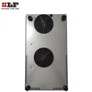 เตาแม่เหล็กไฟฟ้าสองหัวเตาเผาเชิงพาณิชย์ - Product Image 1