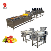 Ligne d'extraction de jus de fruits et légumes DZJX, alimentation manuelle, pressage semi-automatique pour le marché local