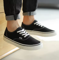 Baskets en toile respirantes à lacets pour hommes et femmes, chaussures de marche légères avec broderie sur la boîte à chaussures et semelle intermédiaire en caoutchouc/PVC pour toutes les saisons