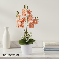 Plante artificielle en pot de haute qualité Tizen, orchidée artificielle, bonsaï d'orchidée avec pot, fleurs artificielles, plantes