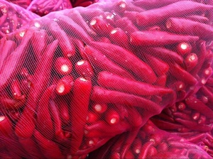 จำหน่ายพริกแช่แข็ง IQF แบบขายส่งจำนวนมาก - Product Image 4