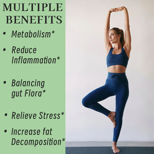 Gominolas Enzimáticas Adelgazantes en Envase OEM, Gominolas Energéticas, Quemagrasas, Extractos Herbales, Quemagrasas, Regula el Movimiento Intestinal - Product Image 6