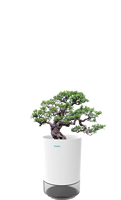 Mini purificateur d'air d'intérieur innovant, au design moderne, avec des tasses de croissance de plantes en forme de fleur de bureau créatives