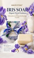 Savon Parfumé Français Fait Main 250g Huile Essentielle Parfum Longue Durée Bain Nettoyant Visage Emballage Cadeau OEM ODM