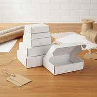 Boîte d'expédition en carton ondulé pliable de style avion en papier kraft blanc réutilisable personnalisée avec impression offset et gaufrage