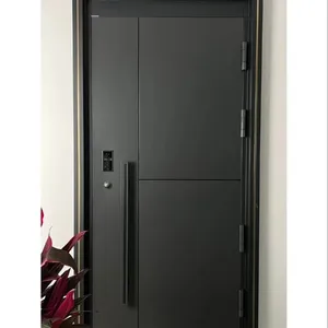 आधुनिक बाहरी मुख्य गेट दरवाज़ा डिज़ाइन फ्रंट आयरन प्रवेश द्वार घर के लिए प्रवेश सुरक्षा स्टील दरवाज़ा