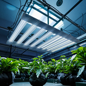 <span class=keywords><strong>2026</strong></span> נובה טרנד חדש 400 w 400 וואט ספקטרום מלא הוביל לגדול אור לצמחים בתוך חממה - Product Image 2