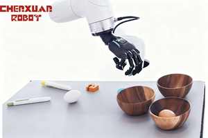 Plateforme robotique Mech-Mind IA incarnée œil-cerveau-main, vision 3D alimentée par GPT, main dextre à cinq doigts, pour le préhension et le placement de cellules PLC - Product Image 6