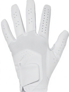 Guante de Golf Personalizado con Logotipo, de Poliéster y Piel de Cordero, Transpirable, con Puño Ajustable, de Secado Rápido, para Todas las Estaciones, para Mano Izquierda, para Deportes al Aire Libre - Product Image 1
