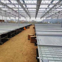 2025 Chine usine tables d'inondation banc roulant de semis plateau de culture supports pour la culture hydroponique