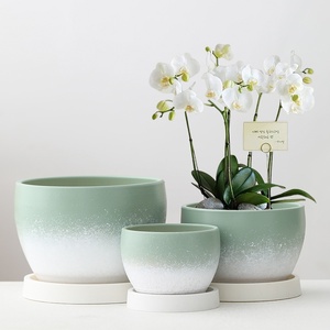 Pot <span class=keywords><strong>de</strong></span> fleurs en céramique pour tulipes, plumerias et succulentes - Grande taille <span class=keywords><strong>haut</strong></span> <span class=keywords><strong>de</strong></span> <span class=keywords><strong>gamme</strong></span> avec plateau - Offre spéciale liquidation - Product Image 4