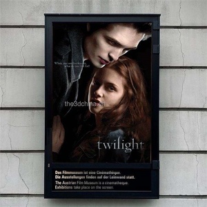 Superbe affiche lenticulaire 3D, feuille lenticulaire 3D 10lpi, 20lpi, 25lpi, 30lpi, 32lpi, 35lpi, 40lpi, 60lpi, 16x24 24x36 pouces - Product Image 2