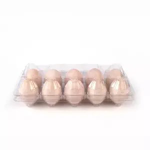 Factory Supply Disposable Clear PET Egg Tray for Supermarket