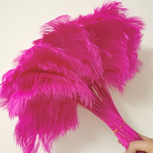 <span class=keywords><strong>Punta</strong></span> di piume di struzzo 60-65cm all'ingrosso per zaini di carnevale Festival di Samba Costume decorazioni modisteria - Product Image 1