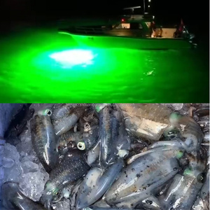 Lampe de pêche sous-marine LED populaire 2026, haute puissance 220V, 2000W 3000W 4000W 5000W, pour la capture de calamars, saumons et gros poissons - Product Image 6