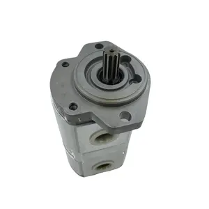 ZHENYUAN PLP hydraulic gear pump PLP20x14-S-0 46 E2-L-GE/GD-V-D PLP 10.6.3DO-81E1 LBB/BA-N-EL-A FS 1 gear pump