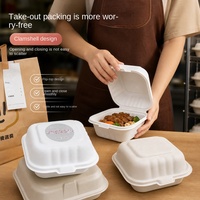 Boîte à gâteau en pulpe de canne à sucre biodégradable jetable, boîte bento, boîte à tiramisu/fruits/burgers/pâtisseries, emballage pour desserts, capacité 450
