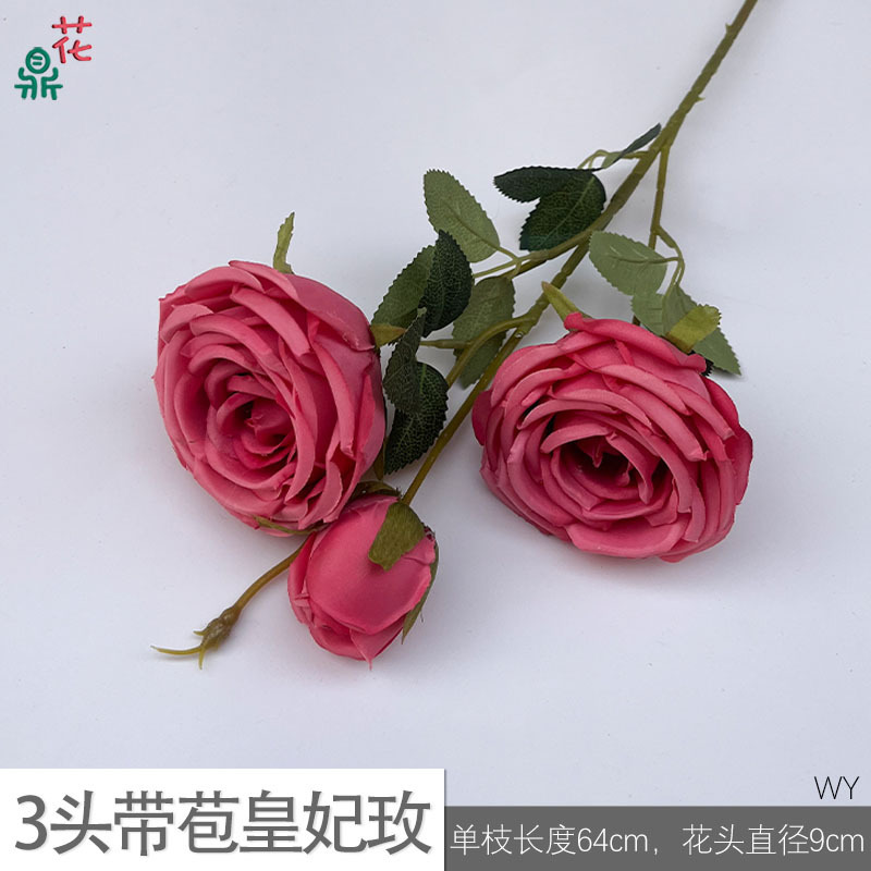 Rose royale à trois têtes en bouton (WY) rouge rosé