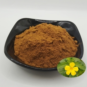 Extrato de Damiana 10:1 em Pó Solúvel em Água de Grau Alimentício Concentrado em Tambor e Embalado a Vácuo - Product Image 1