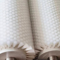 Machine de nettoyage à rouleaux de brosse industrielle Genesis de haute qualité, DIY OEM, pour l'élimination de la rouille, le polissage et le dépoussiérage des sols en bois, garantie 0,5 an