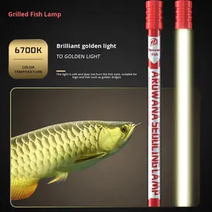 Lampe d'éclairage d'<span class=keywords><strong>aquarium</strong></span> Qianyu Arowana <span class=keywords><strong>T5</strong></span> - Amélioration des couleurs et éclairage accru, origine Chine - Product Image 2