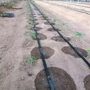 יצרן סין 1 הקטרה דגם חקלאות טפטוף מערכת קלטת השקיה חווה קלטת טפטוף
