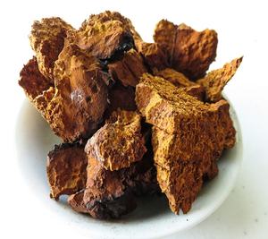 GANOHERB Extractos De Plantas organik <span class=keywords><strong>Chaga</strong></span> mantar özü tozu ek toptan OEM fabrika fiyat toplu tedarik - Product Image 2