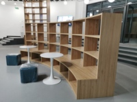 Armoire de rangement multi-scènes en composite résistant à l'humidité avec séparateur incurvé, étagère de bibliothèque et miroir