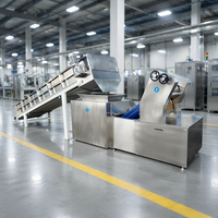 Ligne de production de nouilles instantanées chinoises entièrement automatiques, non frites, avec moteur, haute capacité, en acier inoxydable