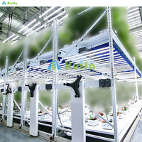 Système de culture hydroponique vertical de haute qualité pour plantes d'intérieur, avec plusieurs niveaux, sur roulettes, grande étagère de culture, système d'irrigation par flux et reflux, en ABS