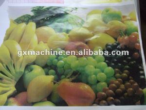 Máy In Flexo 4 Màu Tập Thể Dục Sách Giấy Flexo Cầm Quyền/Máy In - Product Image 6