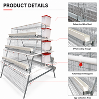 Poulailler industriel automatique économique de grande capacité pour poules pondeuses