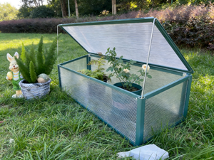 <span class=keywords><strong>Invernadero</strong></span> Pequeño de Policarbonato de 6x4 Pies con Marco de Aluminio para Jardín Pequeño - Product Image 1
