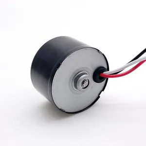 TT Motor inter runner elektrik motoru 5000rpm 8000rpm 10000rpm fırçasız dc motor