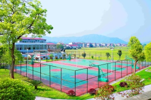 INOLP Interior/Exterior Suelo Multideportivo Silicon PU Cancha deportiva sintética para tenis Baloncesto Versátil Suelo deportivo al aire libre - Product Image 2