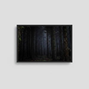 Elegant Dark Forest Landscape <b>Canvas</b> Print: Night Forest Wall Art,BLACK <b>FRAMED</b> <b>CANVAS</b> - Product Image 2