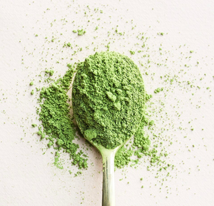Poudre d'extrait de thé vert sauvage 98% polyphénols, supplément alimentaire naturel de qualité alimentaire pour boissons et cosmétiques - Product Image 3