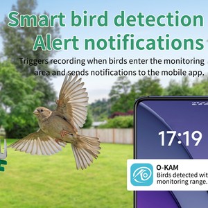 Nouveau stock 2026 : Mangeoire intelligente 2-en-1 pour oiseaux avec panneau solaire à faible consommation et batterie rechargeable en plastique - Product Image 4