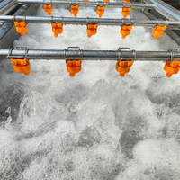 Automatische industriële bubbelwasmachine van roestvrij staal voor het wassen van aardappelen, wortelen, uien en voedselverwerking