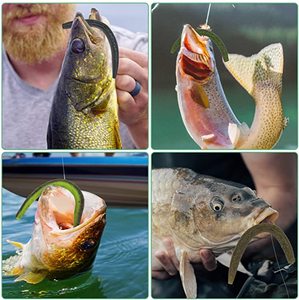 Muestras <span class=keywords><strong>gratis</strong></span> Cebo Artificial Gusano Senko 4 pulgadas 6G 5 pulgadas 8g Señuelo de lubina Señuelos de gusano de silicona suave Cebos de pesca Lombriz de tierra artificial - Product Image 6