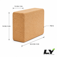 Bloc de yoga en liège naturel 22,5x15x10cm haute densité, brique d'entraînement fitness et danse avec bords arrondis pour yoga et Pilates