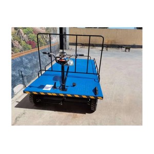 Carrier/ Truck Heavy Duty <b>Platform</b> <b>Trolley</b> Flatbed - Product Image 3
