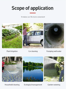 Série de pompes submersibles solaires basse pression avec technologie MPPT pour puits et piscines, personnalisable OEM - Product Image 5